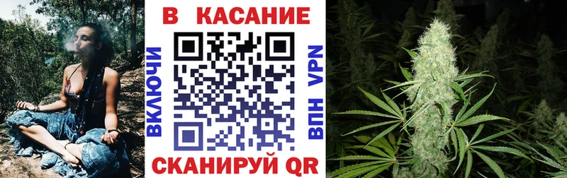 Купить закладку Псилоцибиновые грибы  A-PVP  ГАШИШ  Меф  Каннабис  Камызяк