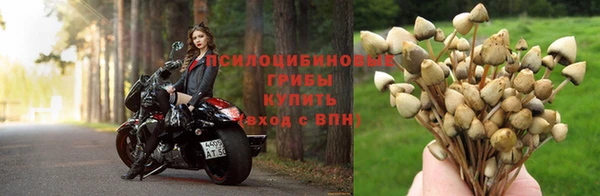 марихуана Заводоуковск